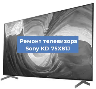 Замена тюнера на телевизоре Sony KD-75X81J в Краснодаре